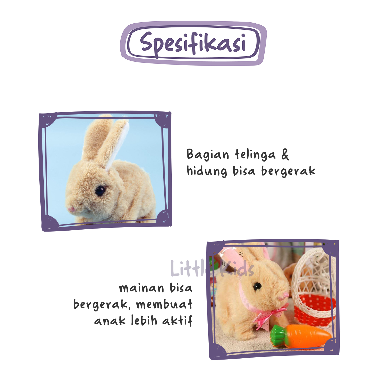 Detail Gambar Siklus Hidup Kelinci Nomer 31