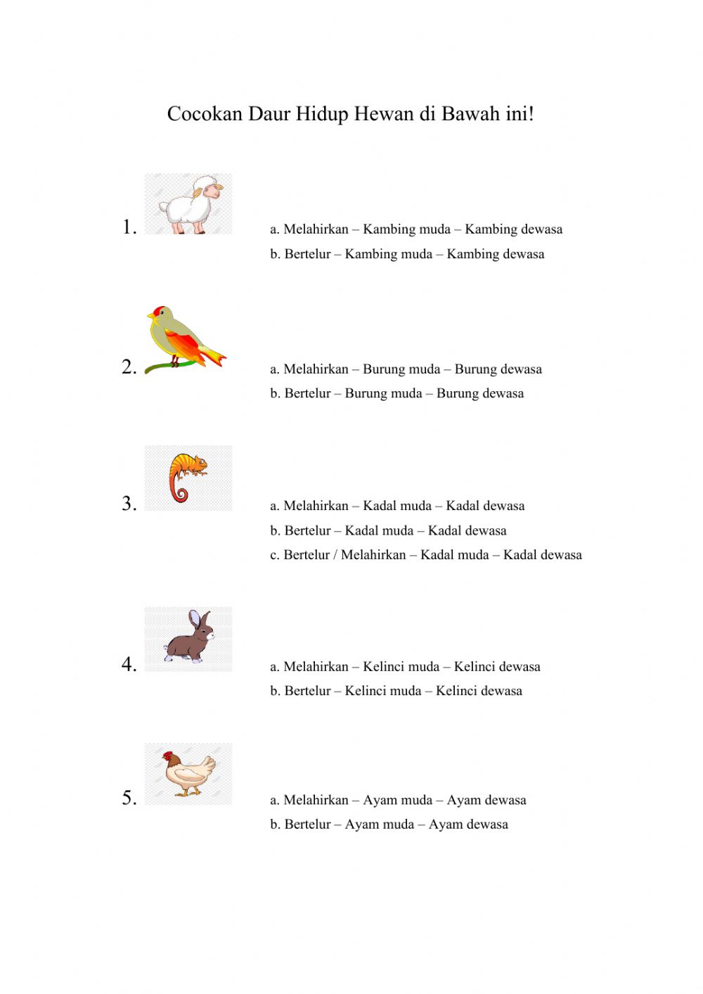 Detail Gambar Siklus Hidup Kelinci Nomer 32