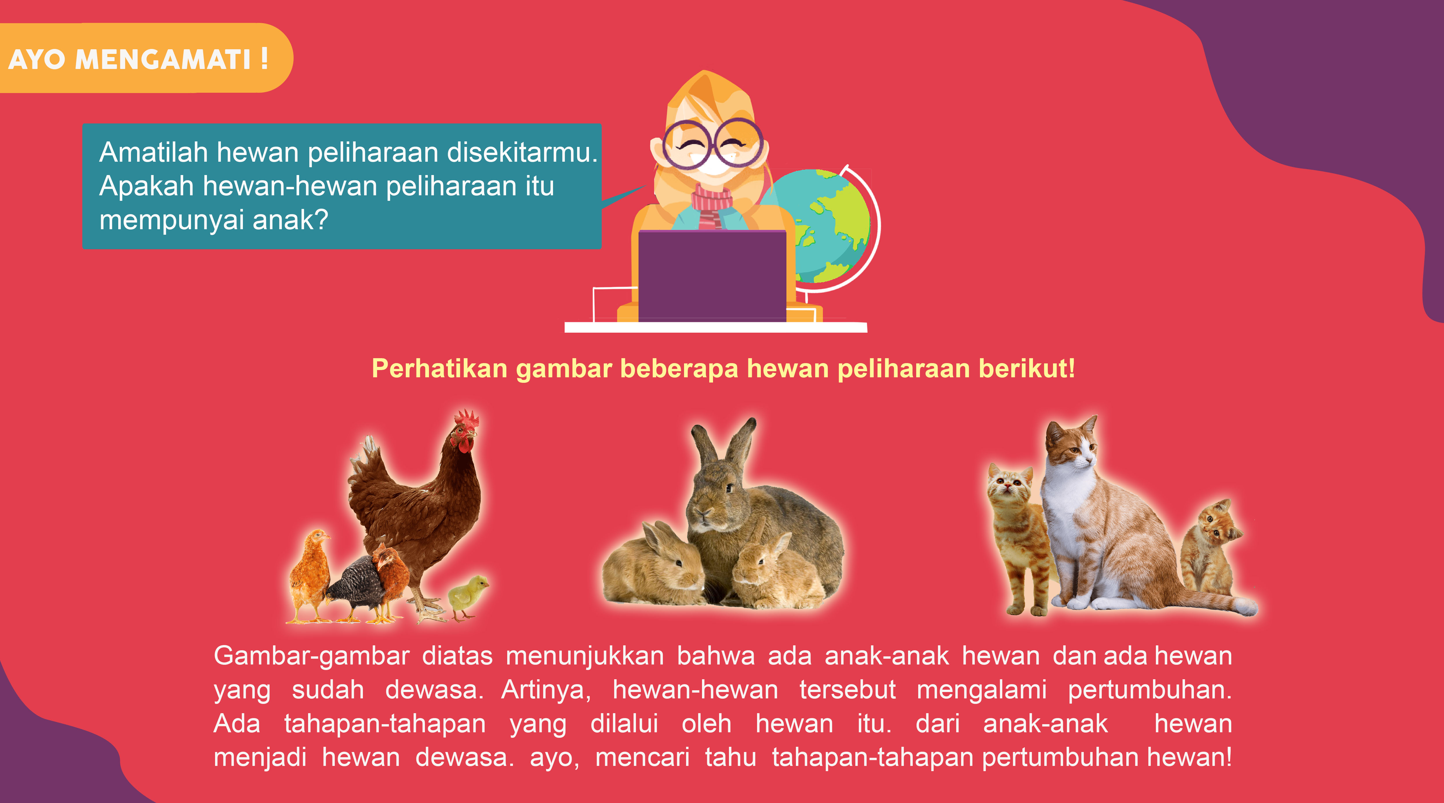 Detail Gambar Siklus Hidup Kelinci Nomer 34