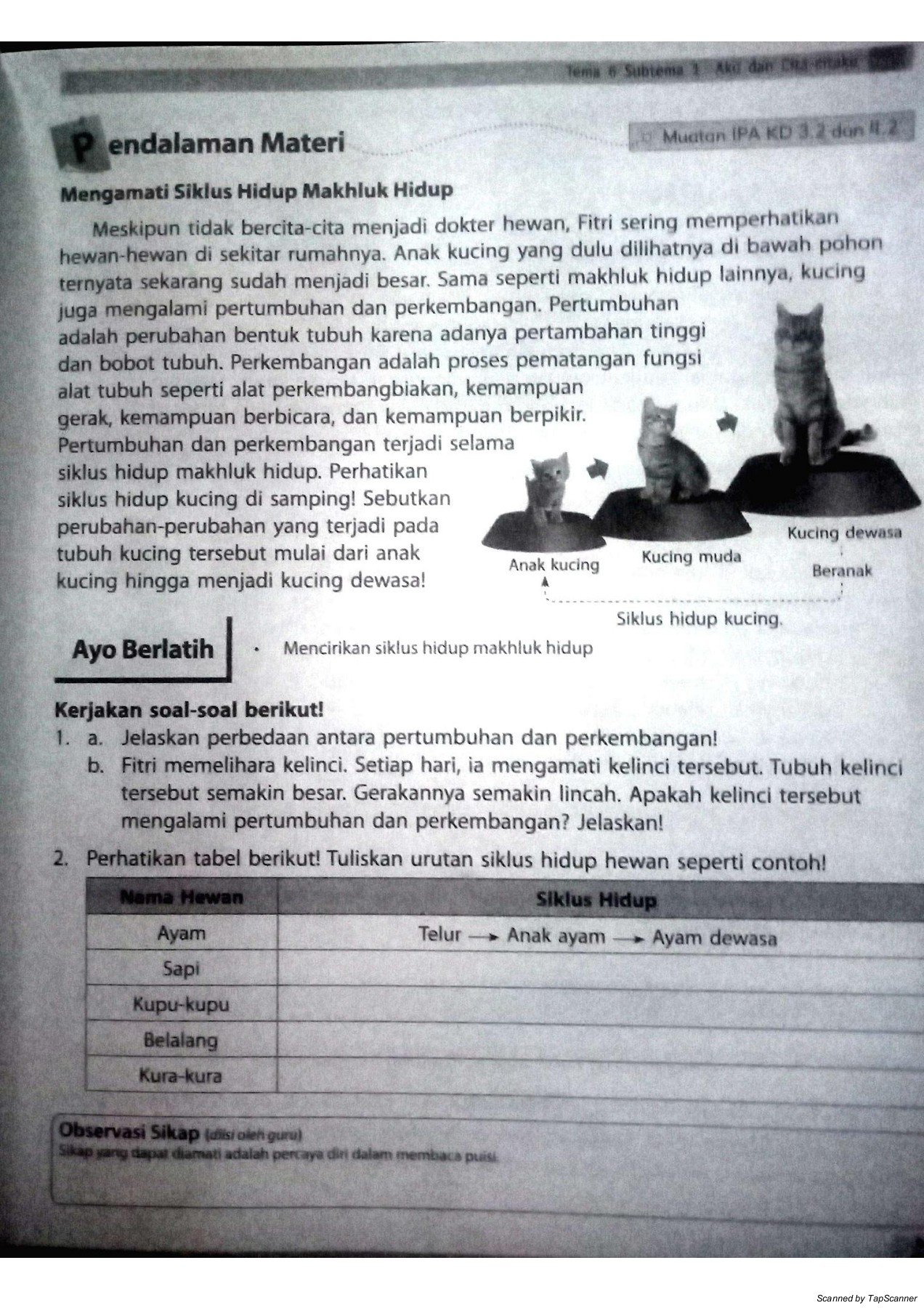 Detail Gambar Siklus Hidup Kelinci Nomer 42
