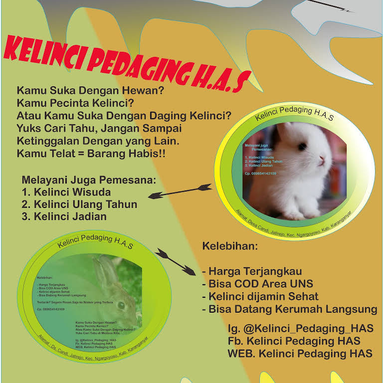 Detail Gambar Siklus Hidup Kelinci Nomer 43