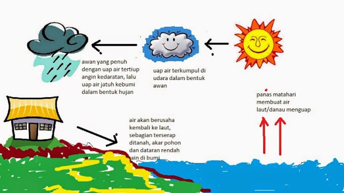 Detail Gambar Siklus Hujan Nomer 5