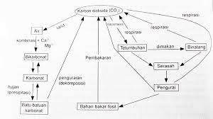 Detail Gambar Siklus Karbon Nomer 21