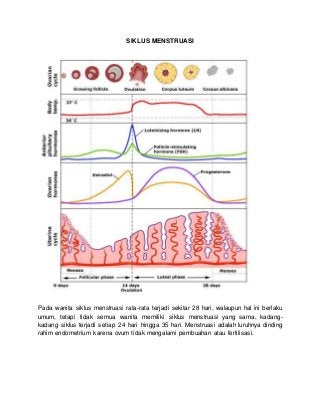 Detail Gambar Siklus Menstruasi Nomer 11