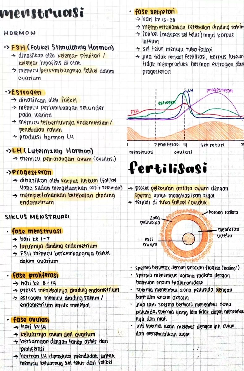 Detail Gambar Siklus Menstruasi Nomer 34