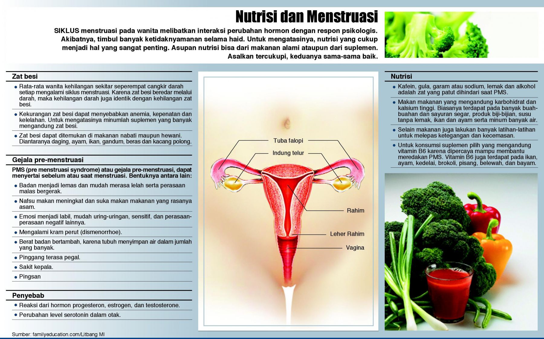 Detail Gambar Siklus Menstruasi Pada Wanita Nomer 23