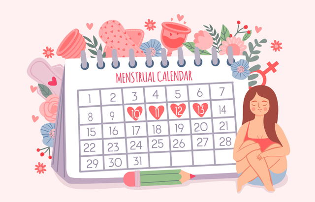 Detail Gambar Siklus Menstruasi Pada Wanita Nomer 49