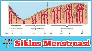 Detail Gambar Siklus Menstruasi Pada Wanita Nomer 50
