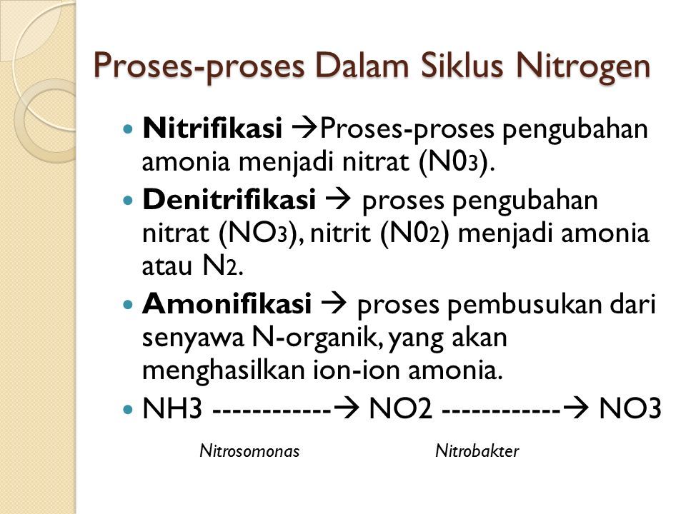 Detail Gambar Siklus Nitrogen Nomer 34