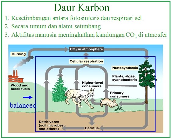 Detail Gambar Siklus Oksigen Nomer 20