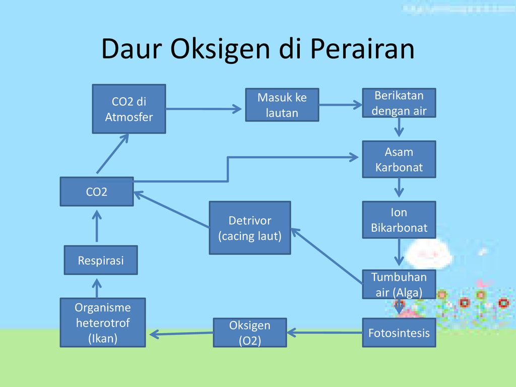 Detail Gambar Siklus Oksigen Nomer 30