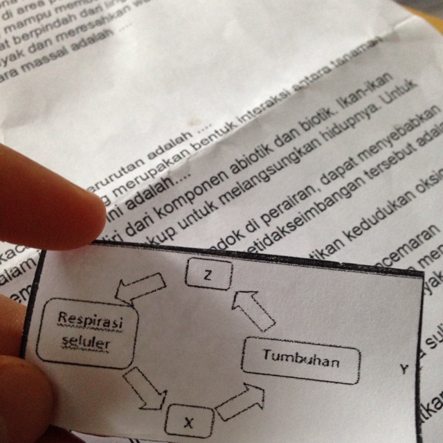 Detail Gambar Siklus Oksigen Nomer 40