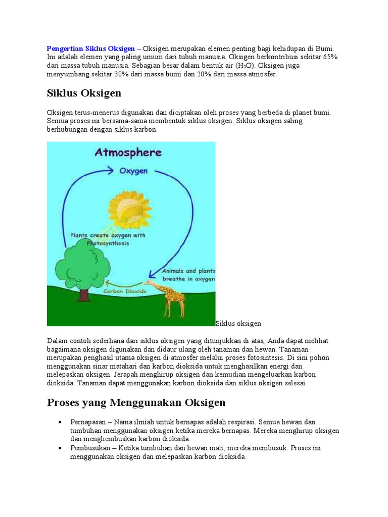 Detail Gambar Siklus Oksigen Nomer 46