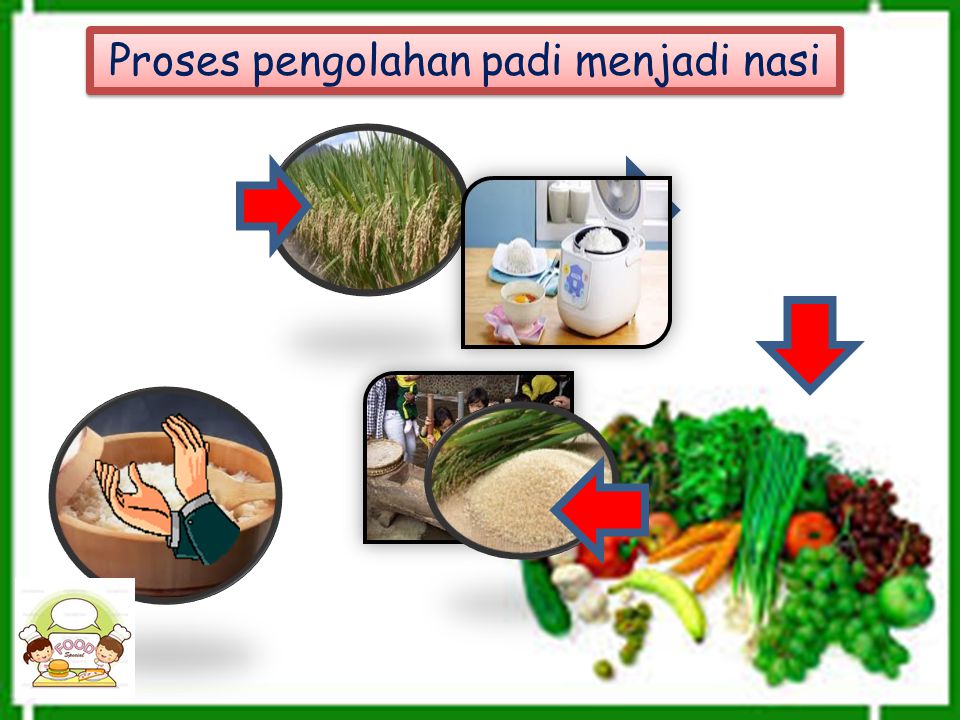 Detail Gambar Siklus Padi Menjadi Beras Nomer 6