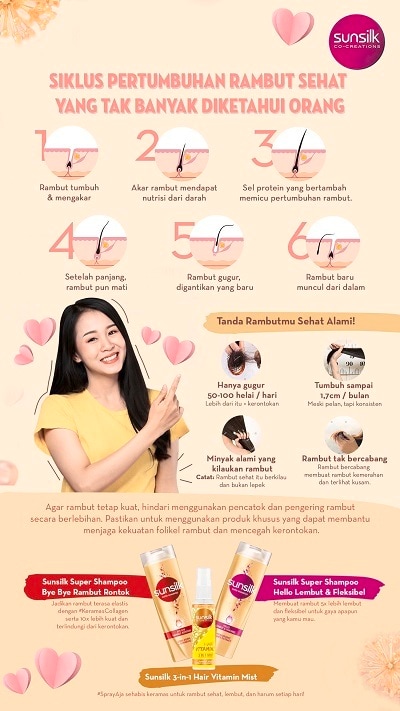 Detail Gambar Siklus Pertumbuhan Rambut Nomer 23