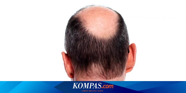 Detail Gambar Siklus Pertumbuhan Rambut Nomer 37