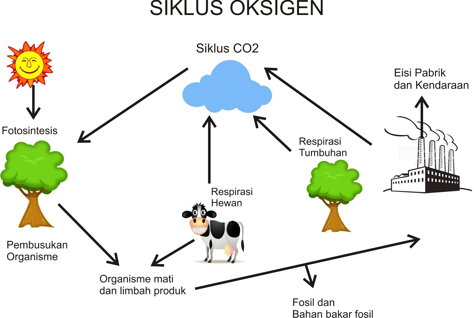 Detail Gambar Siklus Sulfur Gambar Siklus Sulfur Nomer 15