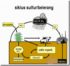 Detail Gambar Siklus Sulfur Gambar Siklus Sulfur Nomer 4