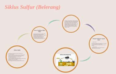 Detail Gambar Siklus Sulfur Gambar Siklus Sulfur Nomer 45