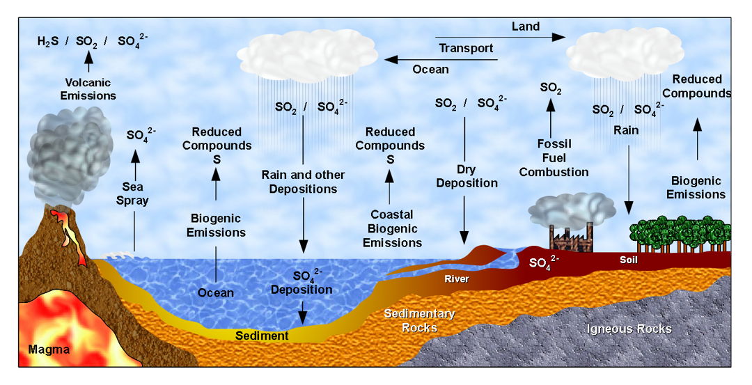 Detail Gambar Siklus Sulfur Gambar Siklus Sulfur Nomer 6