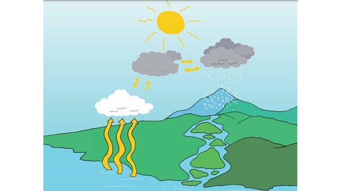 Gambar Siklus Terjadinya Hujan - KibrisPDR