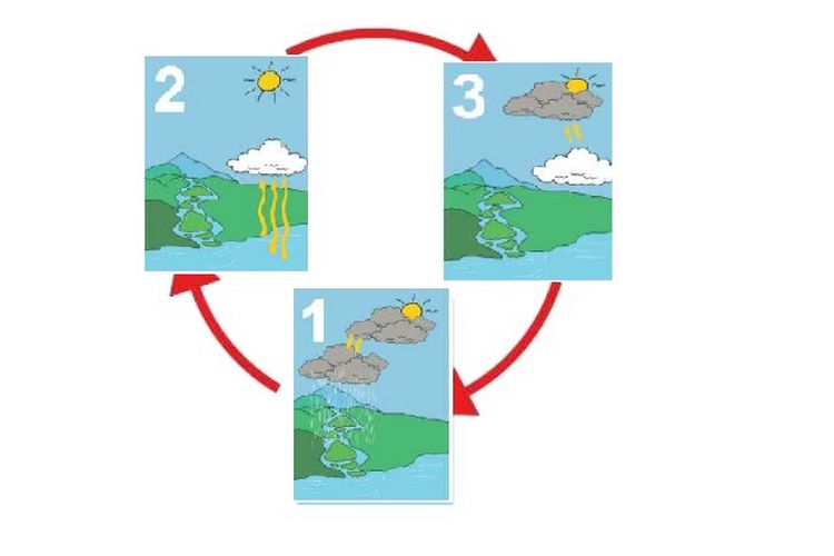 Detail Gambar Siklus Terjadinya Hujan Nomer 43