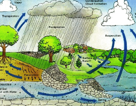 Detail Gambar Siklus Terjadinya Hujan Nomer 53