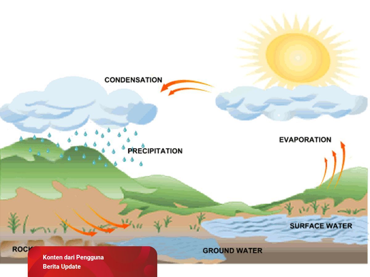 Detail Gambar Siklus Terjadinya Hujan Nomer 9