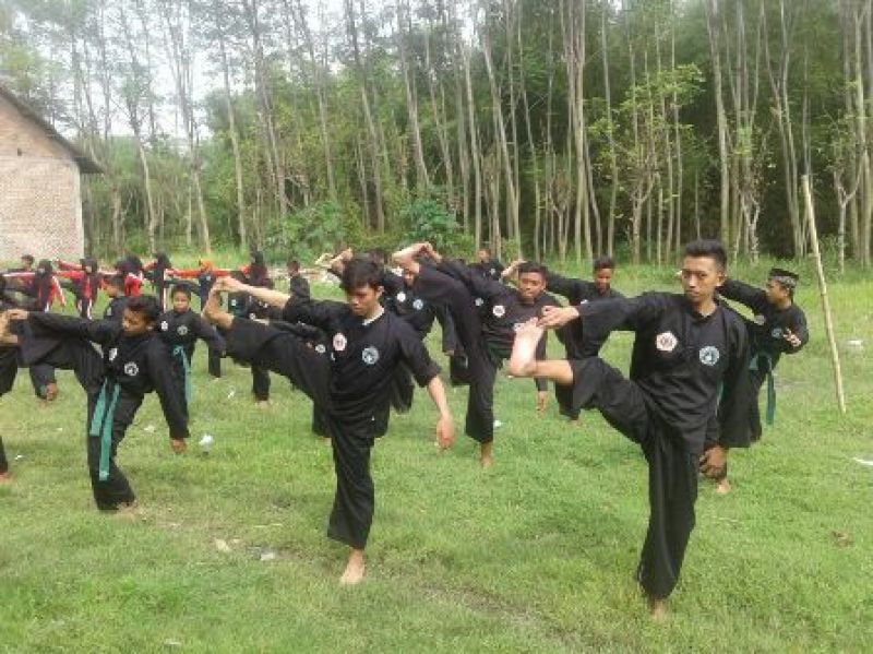 Detail Gambar Silat Pagar Nusa Nomer 29