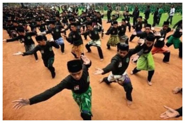 Detail Gambar Silat Pagar Nusa Nomer 52