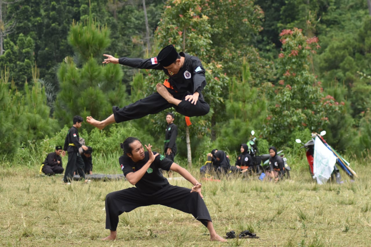 Detail Gambar Silat Pagar Nusa Nomer 7