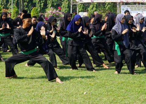 Detail Gambar Silat Pagar Nusa Nomer 10