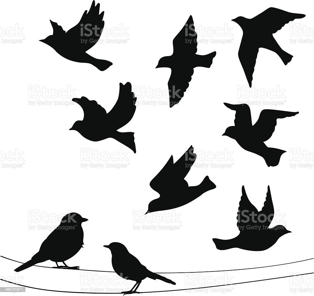 Detail Gambar Siluet Burung Nomer 11