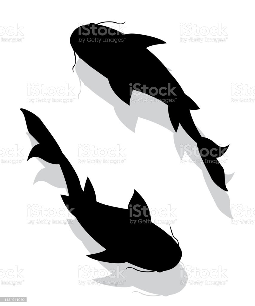Detail Gambar Siluet Ikan Nomer 20