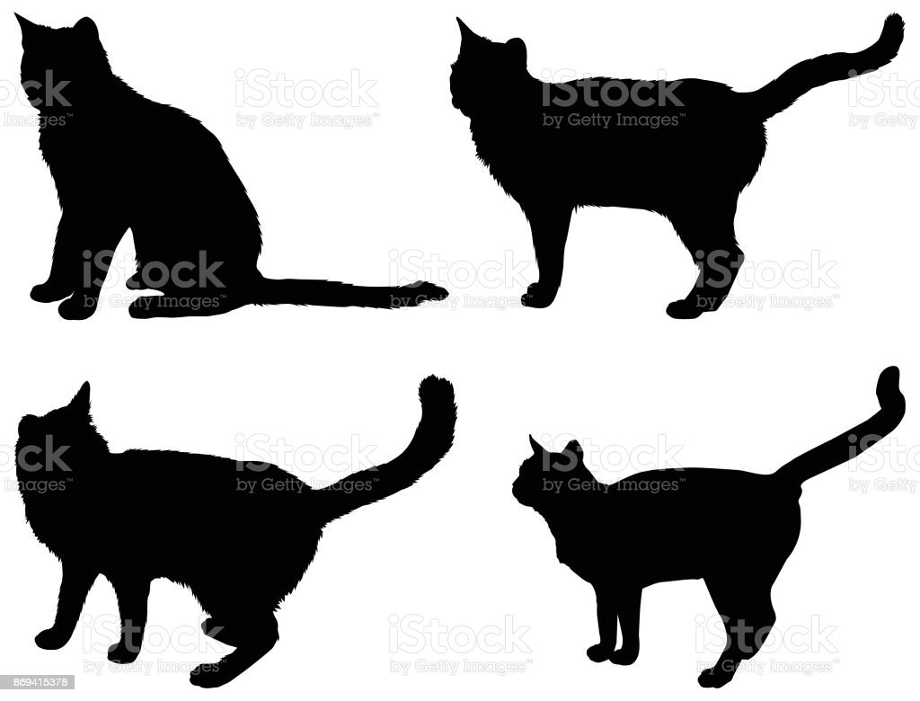 Detail Gambar Siluet Kucing Nomer 46