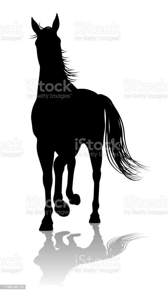 Detail Gambar Siluet Kuda Nomer 41