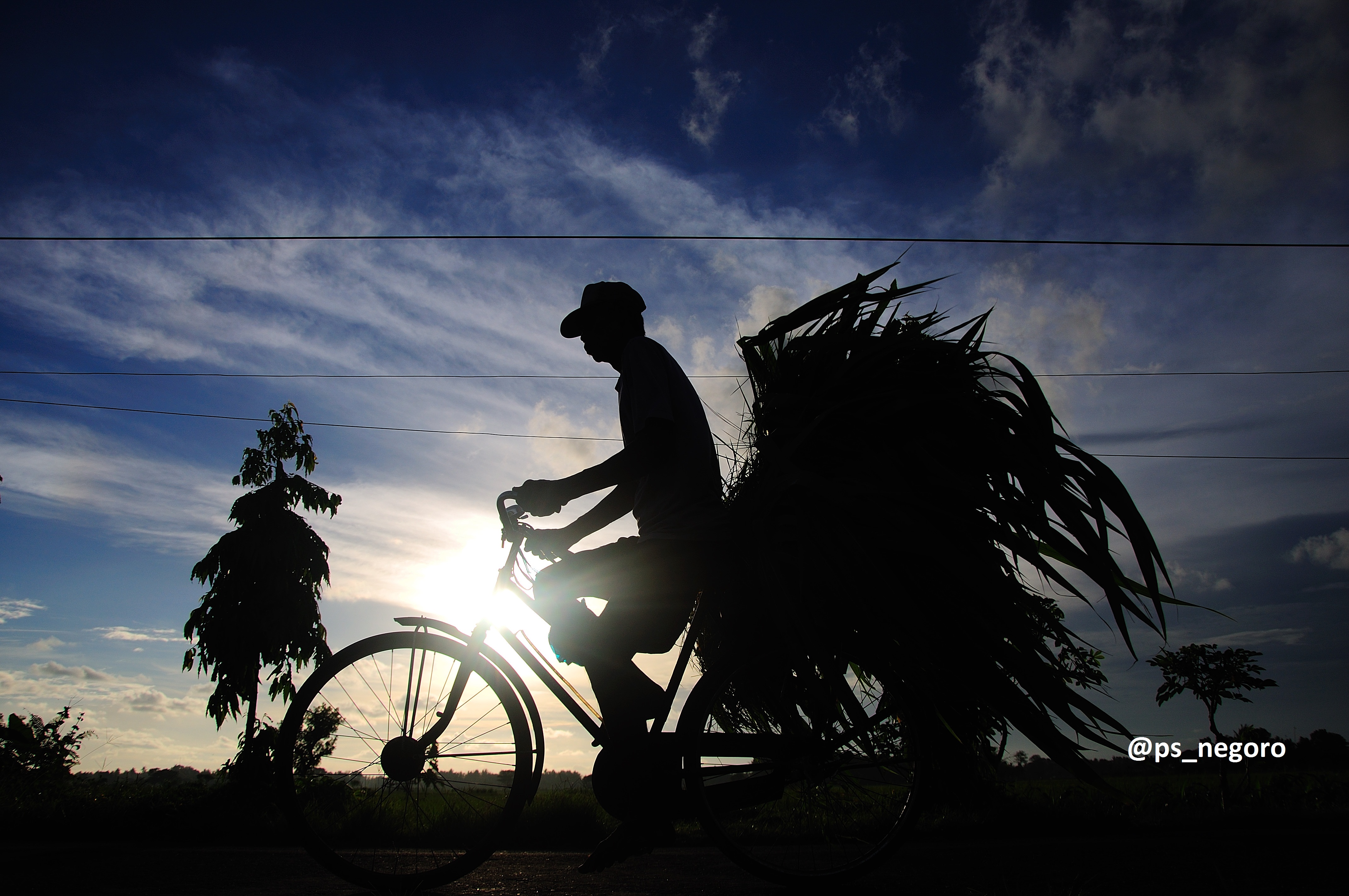 Detail Gambar Siluet Orang Petani Nomer 33