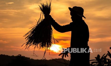 Detail Gambar Siluet Orang Petani Nomer 10