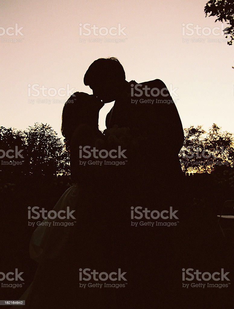 Download Gambar Siluet Pasangan Pernikahan Nomer 36