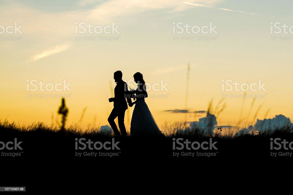 Detail Gambar Siluet Pernikahan Nomer 46