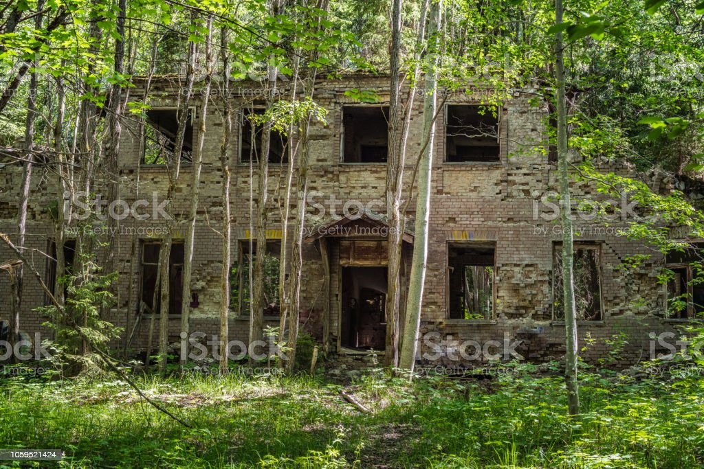 Detail Gambar Siluet Rumah Di Tengah Hutan Nomer 15