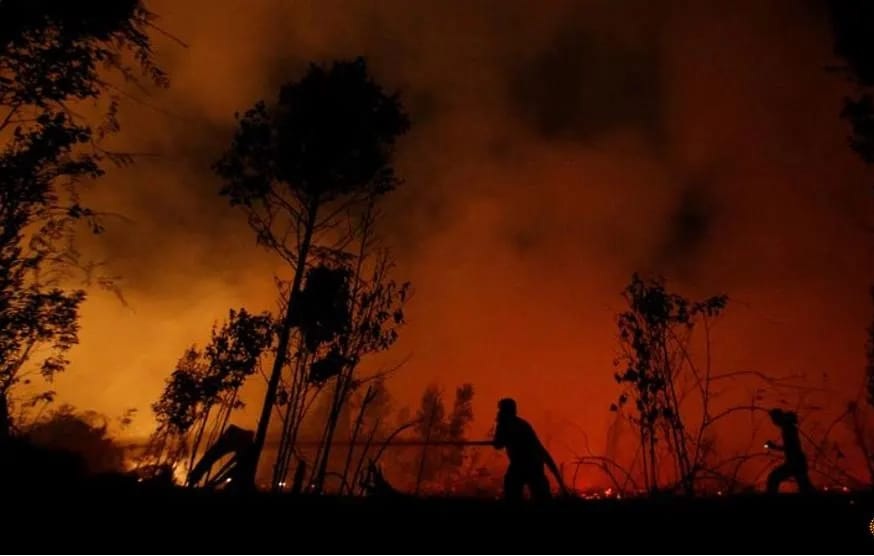 Detail Gambar Siluet Rumah Di Tengah Hutan Nomer 36