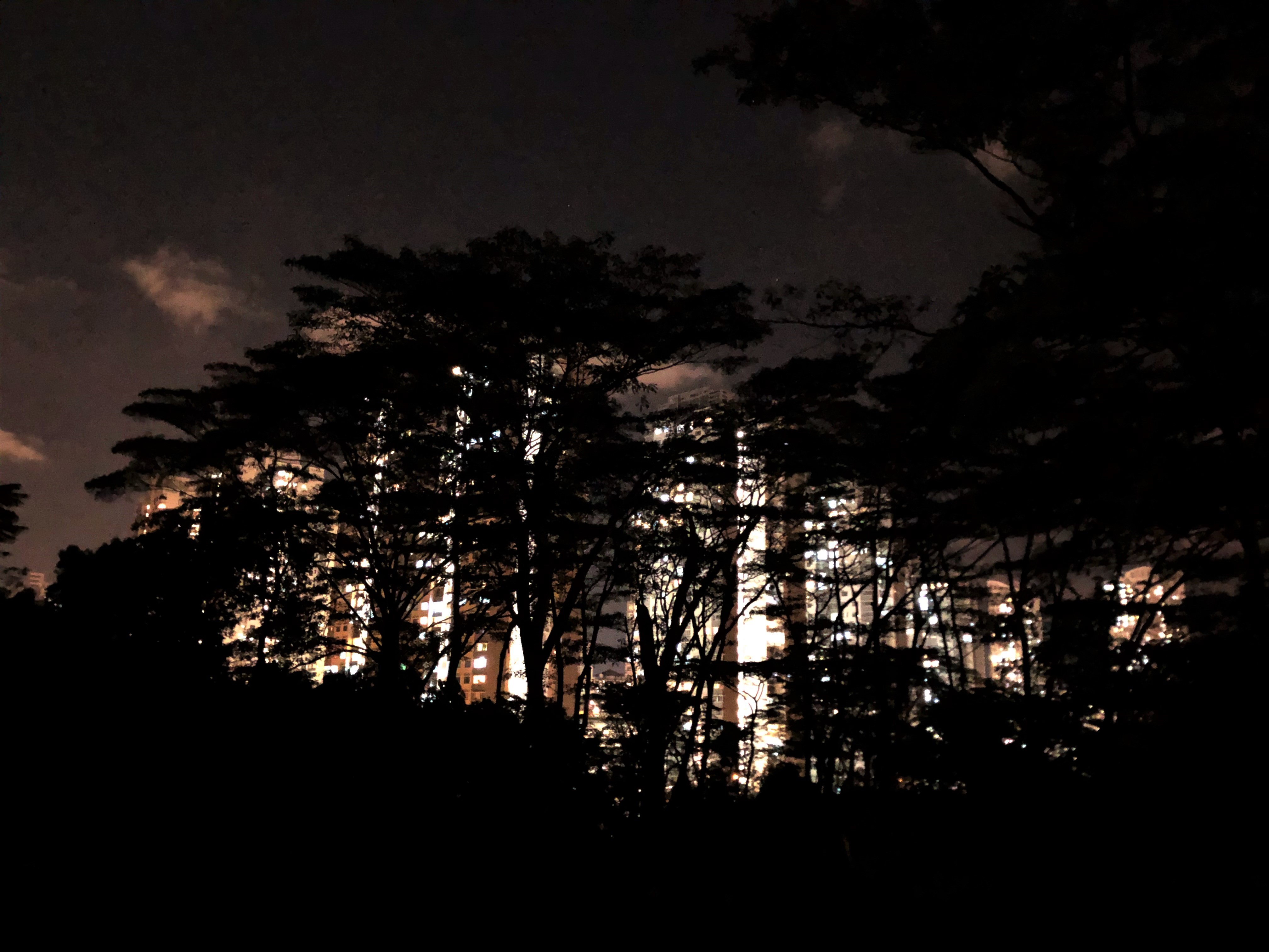 Detail Gambar Siluet Rumah Di Tengah Hutan Nomer 53