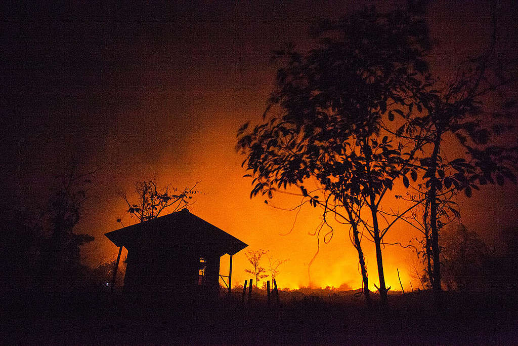 Detail Gambar Siluet Rumah Di Tengah Hutan Nomer 9