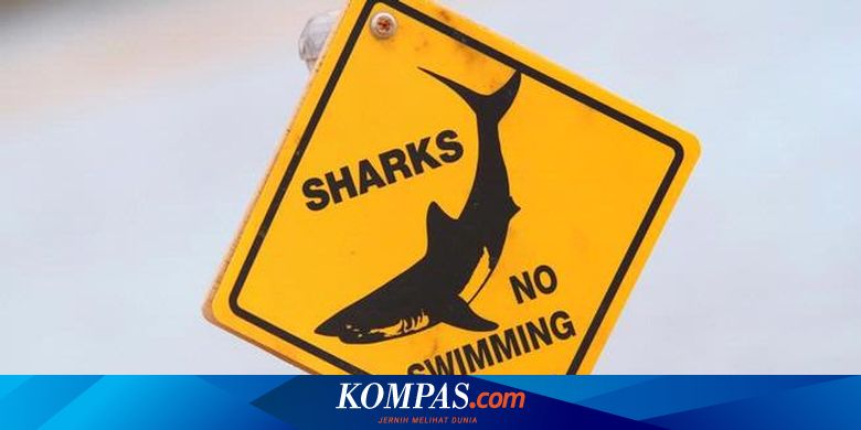 Detail Gambar Simbol Ikan Kepala Tiga Nomer 44