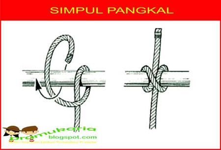 Detail Gambar Simpul Dan Ikatan Nomer 11