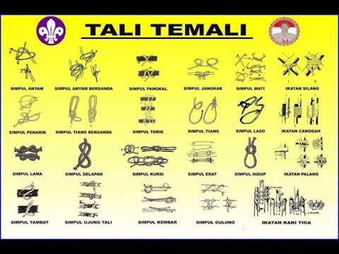 Detail Gambar Simpul Dan Ikatan Nomer 3