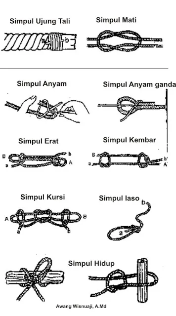 Detail Gambar Simpul Dan Ikatan Nomer 16