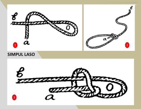 Detail Gambar Simpul Dan Ikatan Nomer 20