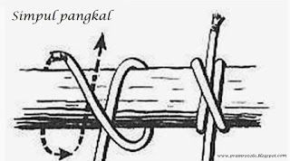 Detail Gambar Simpul Jangkar Nomer 48